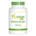 Ginkgo biloba