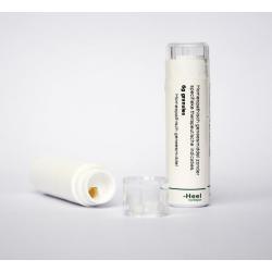 Arnica montana 200K