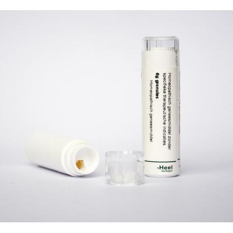 Arnica montana 200K