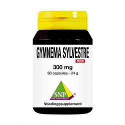 Gymnema sylvestre 300 mg puur