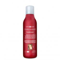 Color Fixation Conditioner