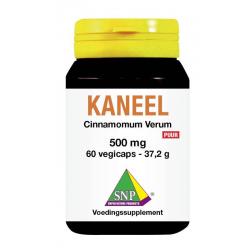 Kaneel 500 mg