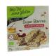 Super repen sesam & cranberry glutenvrij bio