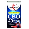 CBD 40mg