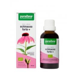 Echinacea forte + vegan bio
