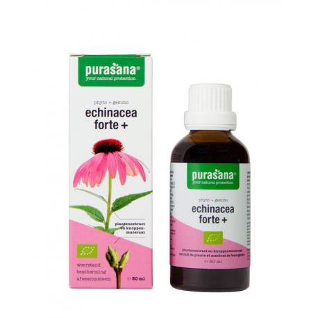 Echinacea forte + vegan bio