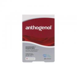 Anthogenol