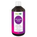 Collagen plus