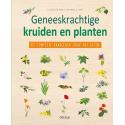 Geneeskrachtige kruiden & planten