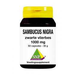 Sambucus nigra zwarte vlierbes