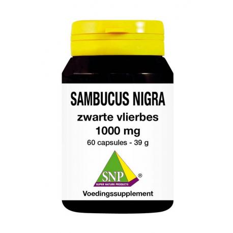 Sambucus nigra zwarte vlierbes