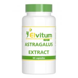 Astragalus extract 500mg