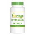 Astragalus extract 500mg