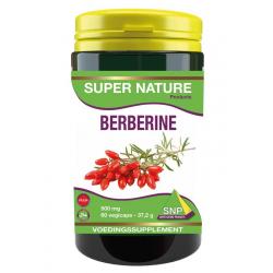 Berberine 500 mg puur