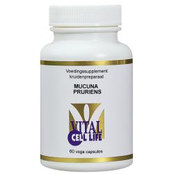 Mucuna pruriens