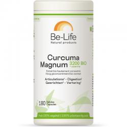 Curcuma magnum 3200 & piperine bio