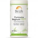 Curcuma magnum 3200 & piperine bio