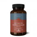 Astragalus 500mg