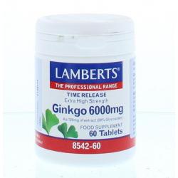 Ginkgo 6000mg