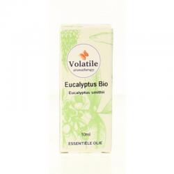 Eucalyptus smithii bio