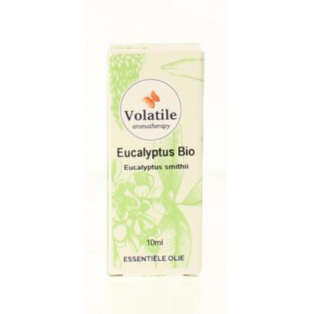 Eucalyptus smithii bio