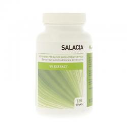 Salacia oblonga 5% saponinen extract
