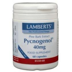 Pycnogenol 40 mg