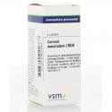 Conium maculatum LM30