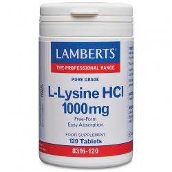 L lysine 1000mg L8316 120