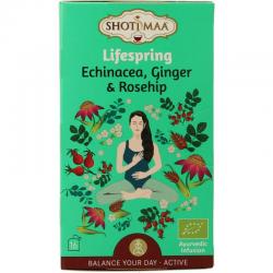 Lifespring echinacea, ginger & rosehip bio