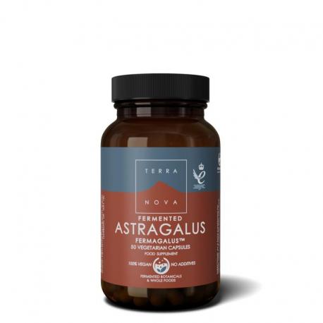 Fermented astragalus fermagalus