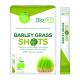 Barley grass raw shots 2.2 gram bio