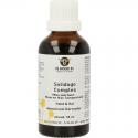 Solidago complex hond/kat