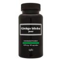 Ginko biloba