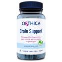 Brain support