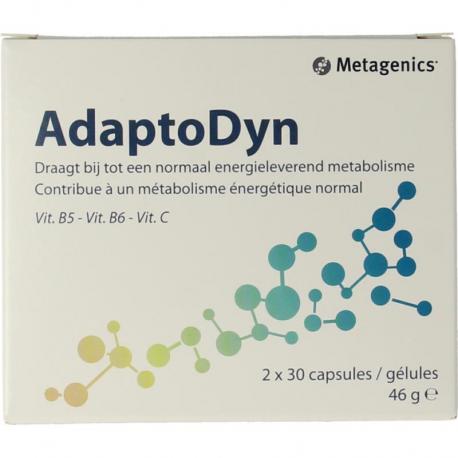 Adaptodyn