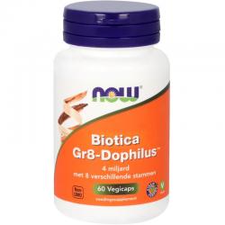 GR8 dophilus