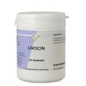 Livocin
