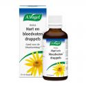 Arnica hart en bloedvaten