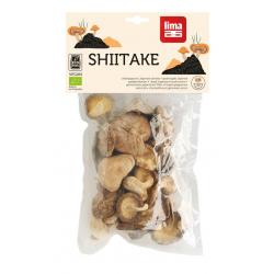 Shiitake bio