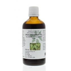 Alchemilla vulgaris / vrouwenmantel