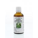 Angelica sinensis rad/chinese engelwortel tinct