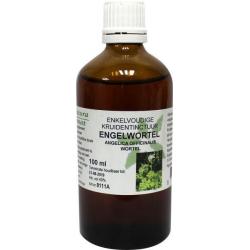 Angelica officinalis / engelwortel