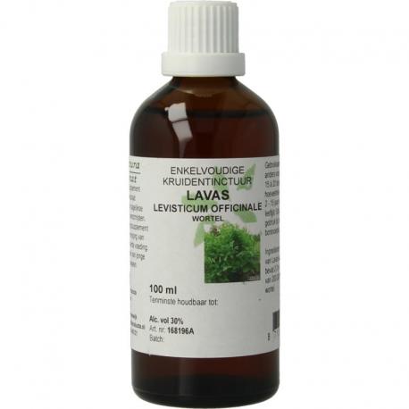 Levisticum officinalis radix / lavas