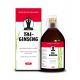 Tai Ginseng elixer