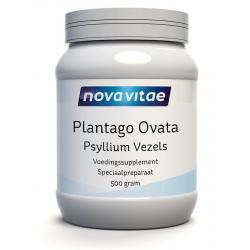 Plantago psyllium