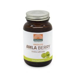 Absolute amla berry extract 500mg