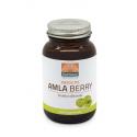 Absolute amla berry extract 500mg