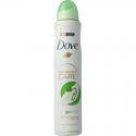 Deodorant spray cucumber & green tea