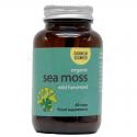 Sea moss bio